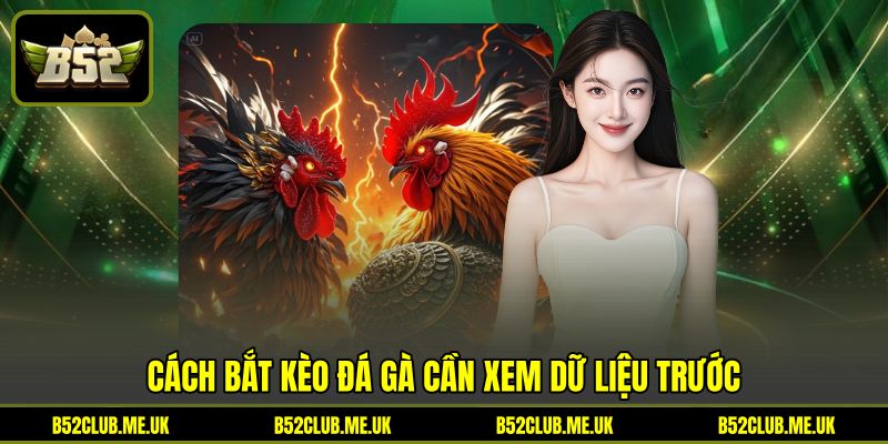 Cách bắt kèo đá gà cần xem dữ liệu trước