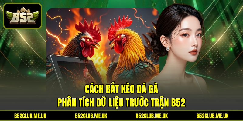 Cách Bắt Kèo Đá Gà - Phân Tích Dữ Liệu Trước Trận B52