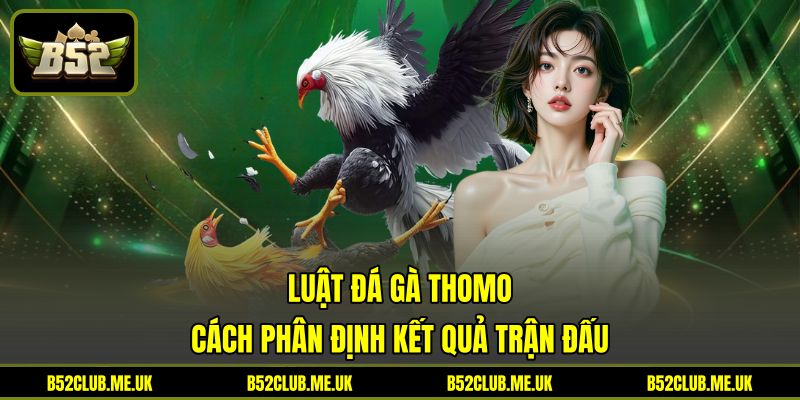 Luật Đá Gà Thomo - Cách Phân Định Kết Quả Trận Đấu