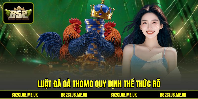 Luật đá gà Thomo quy định thể thức rõ Luật đá gà Thomo quy định thể thức rõ