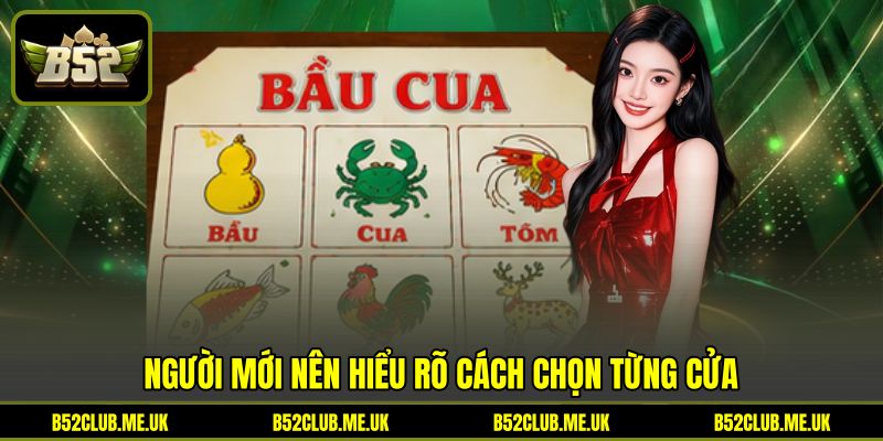 Người mới nên hiểu rõ cách chọn từng cửa Người mới nên hiểu rõ cách chọn từng cửa
